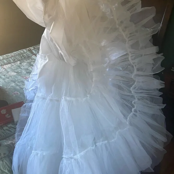 Crinoline - Picture 2 of 3